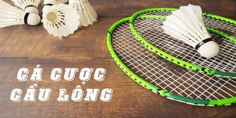 Bí Kíp Cá Cược Cầu Lông DWIN Giúp Bạn Thắng Lớn Mỗi Ngày 2 Bí Kíp Cá Cược Cầu Lông DWIN Giúp Bạn Thắng Lớn Mỗi Ngày